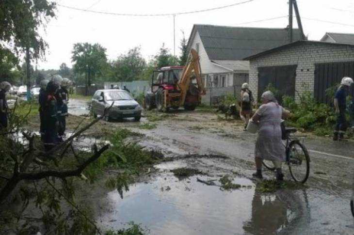 Погода сельцо брянская область на неделю точный