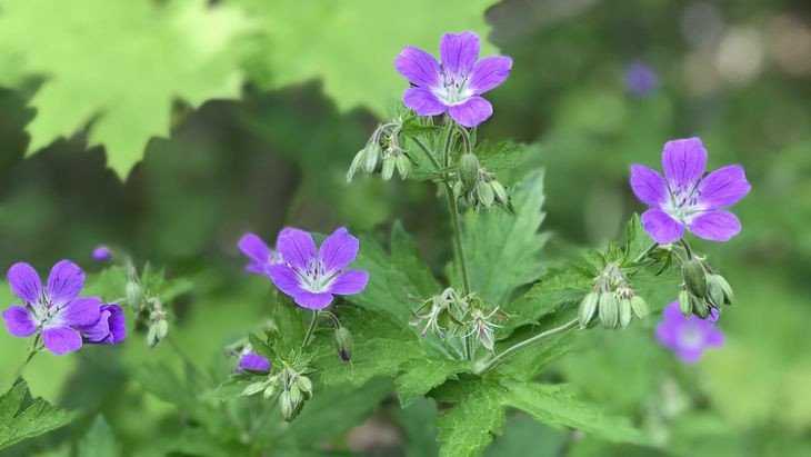 � �������� ������� 15 ��� ��������� �����