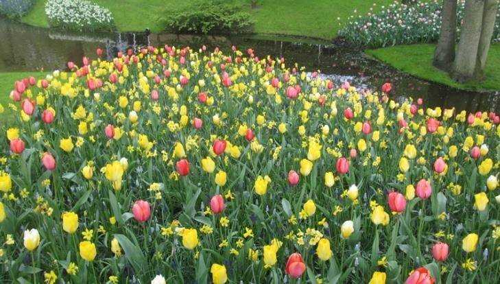 ������ ����� 8 ����� �� ������ ��� ��������� � ��������� ����� 