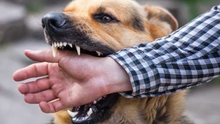 Ð� ÑÑ�Ð¾Ð¼ Ð³Ð¾Ð´Ñƒ Ð�Ð¸Ð²Ð¾Ñ�Ð½Ñ�Ð� Ð¿Ð¾ÐºÑƒÑÐ�Ð�Ð¸ 2230 Ð�Ñ�ÑÐ½Ñ�Ð�Ð²