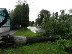 Ураган, бушевавший в Брянской области, нанес ущерб на 11 миллионов