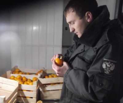 Хорватским мандаринам с мухами поставили кордон в Брянске