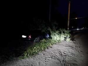 Брянский водитель, врезавшийся в дерево на Литейной,  умер в больнице