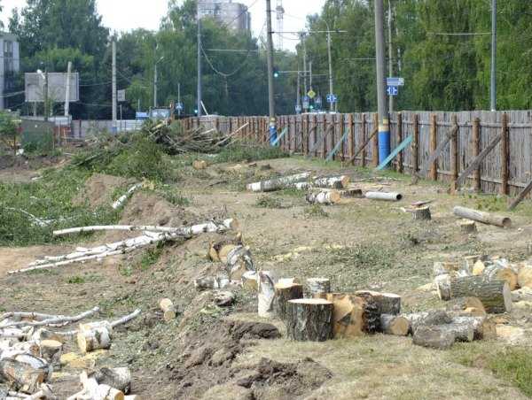 Главный благоустроитель Брянска уволен из-за  вырубки деревьев на Крахмалёва