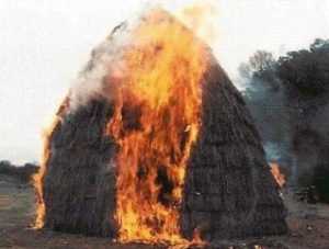 В брянской деревне сгорело шесть тонн сена