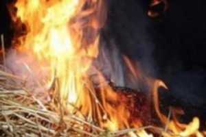 Полиция поймала поджигателя, спалившего сарай с сеном в брянском селе