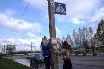 Брянские лицеисты установили памятную табличку на месте гибели пешехода