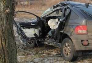 В Навлинском районе  водитель «корейца» погиб, врезавшись в дерево