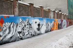 В Брянске граффитчики украсили забор фабрики олимпийской символикой