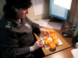 Новогодние мандарины, проверенные в Брянске, оказались зараженными