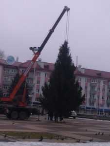 Власти Брянска удивили горожан елкой на площади Партизан