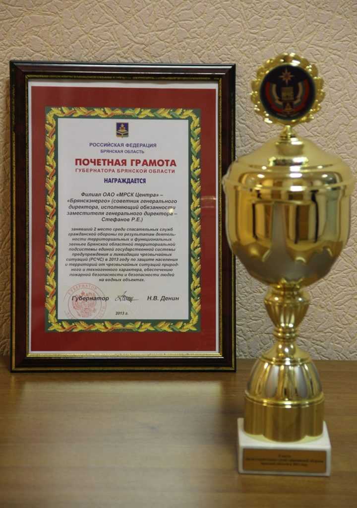 "Брянскэнерго" вошло в число лучших спасательных служб гражданской обороны