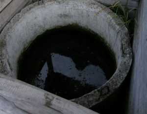 Соседи брянцев месяц пили воду из колодца с трупом
