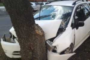 На трассе под Брянском водителя «Тойоты» убило дерево