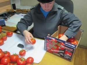 Из Брянской области в Турцию вернули опасные помидоры