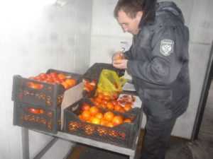 Брянскую область очистили от заражённых сирийских апельсинов