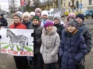 В Брянске стартовала «Неделя детской безопасности»