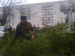 В Брянске осужден азербайджанец-взяткодатель