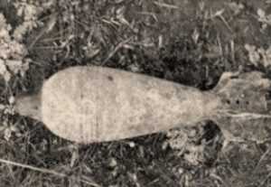 Под Дарковичами нашли 25-килограммовую бомбу