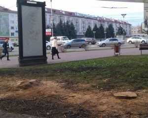﻿В Брянске на площади Партизан спилили деревья