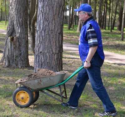 Брянские чиновники посадили деревья в лесу около дома губернатора