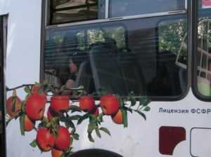 Брянские троллейбусники пожаловались на жадность маршруточников