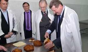 Заместителя полпреда президента в Брянске накормили хлебом