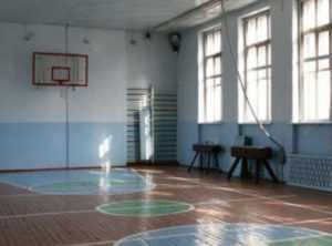 Брянским сельским школам пообещали обновлённые спортзалы