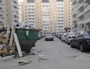 На улице Брянского фронта вице-губернатор сразился с мусором