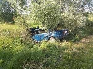В Суземском районе дерево убило «бесправного» водителя