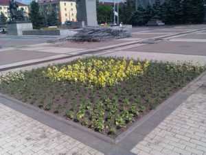 На площади Партизан появились патриотичные цветочки