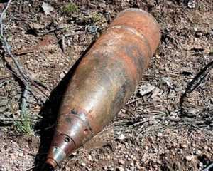 В Брасовском районе обнаружили восемь снарядов и три гранаты