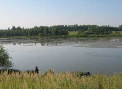 В посёлке Климово из пруда подняли тело пенсионерки