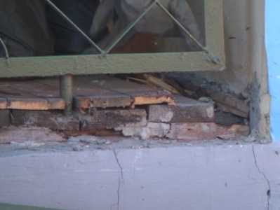 В брянском детсаду сотрудники МЧС уничтожили осиное гнездо