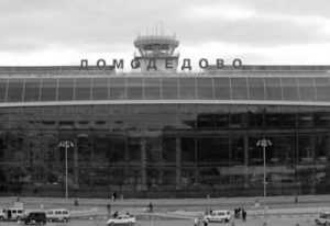 Брянец обокрал в аэропорту «Домодедово» пассажирку самолёта