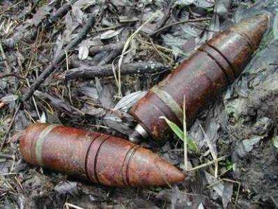 Возле навлинской деревни нашли четыре снаряда