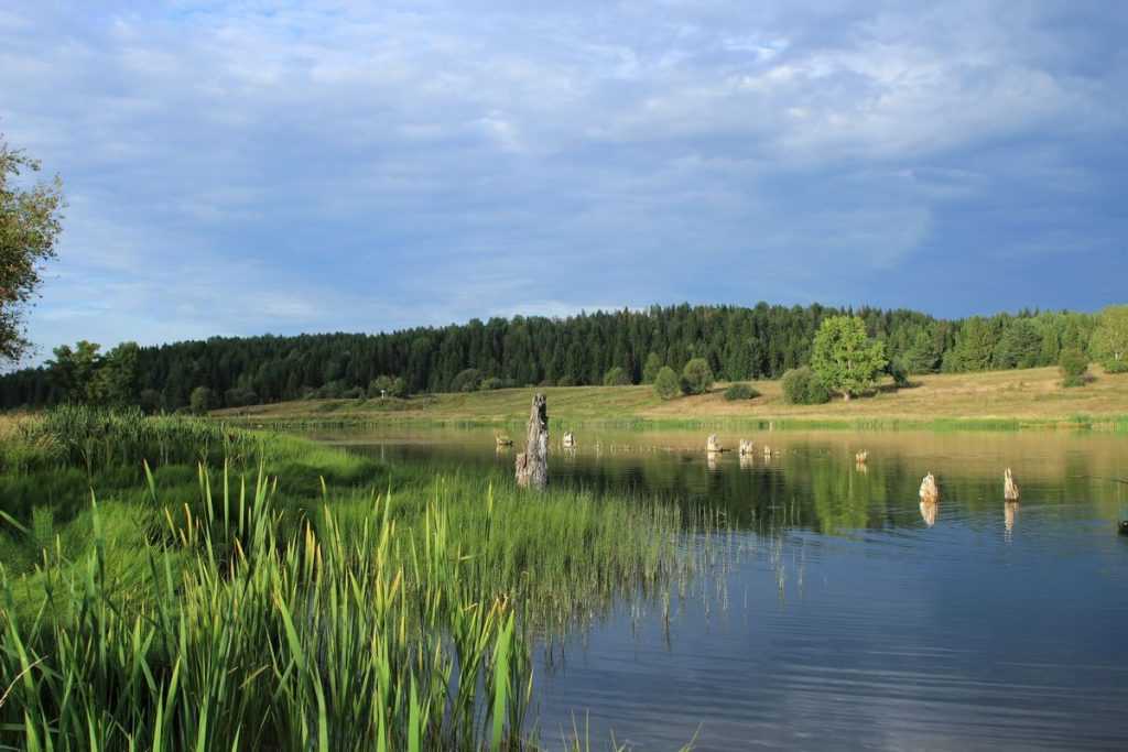 Брянский природоохранный прокурор потребовал пустить селян к озеру
