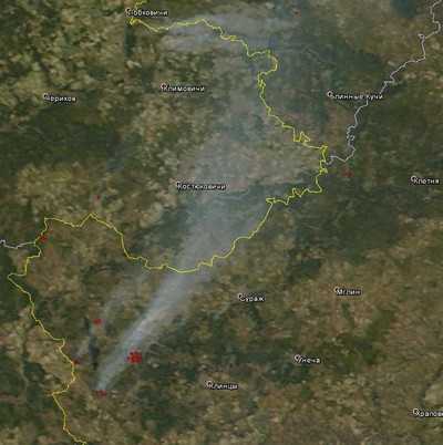 Москву переполошили чернобыльским дымом из Брянской области
