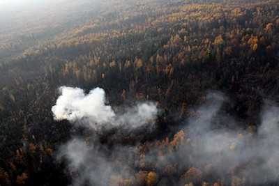 Брянск окутало дымом из Гордеевского района