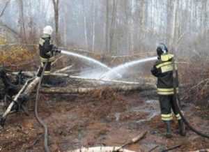 МЧС:  Борьба с природными пожарами на Брянщине почти завершена