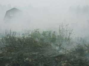 Дым от горящих брянских торфяников едва не погубил людей в двух ДТП