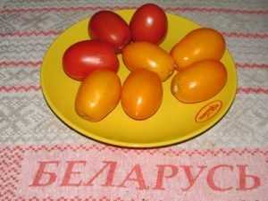 Белорусы завалили брянские рынки запрещенными польскими помидорами