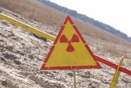 Правительство зачистит брянскую зону радиоактивного загрязнения