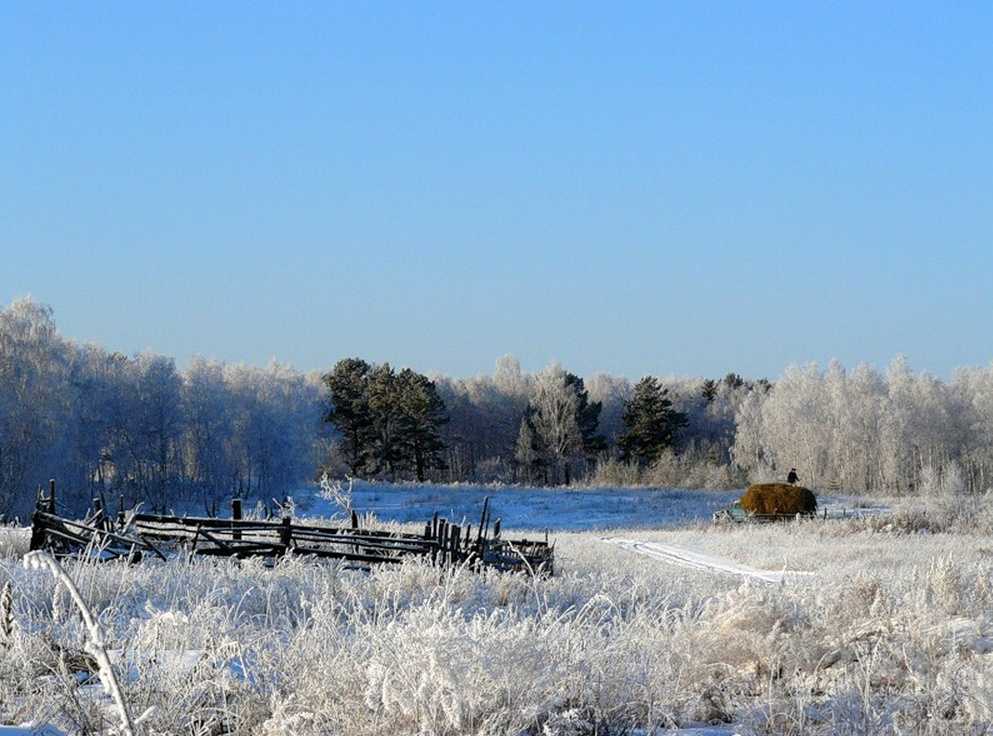 В Брянск пришла зима без снега