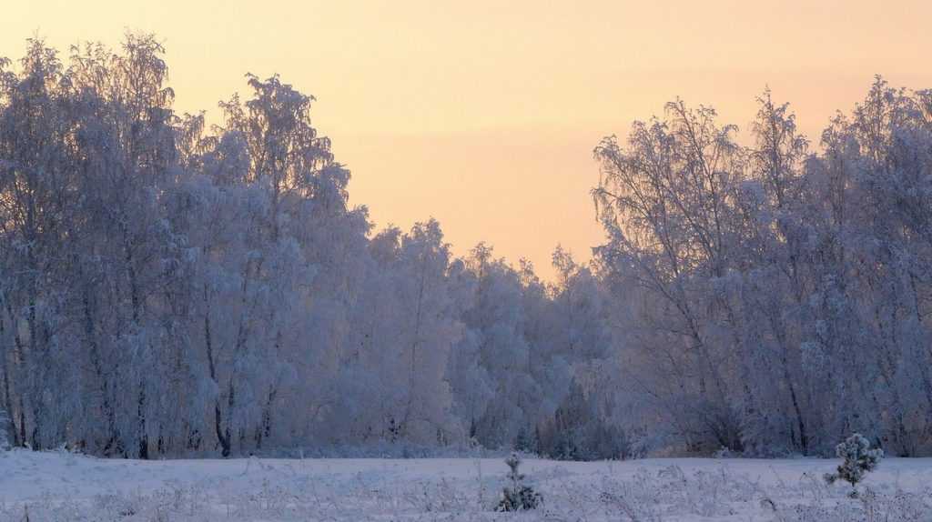 Прошедший октябрь в России оказался холоднее обычного