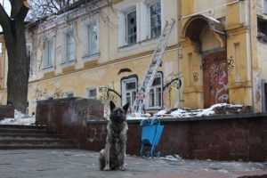Власти Брянска пообещали не допустить сноса памятников архитектуры