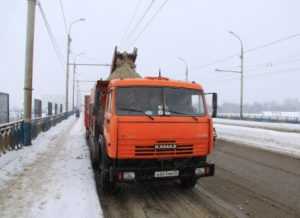 Снегопад в Брянске ночью выгнал дорожников на расчистку улиц
