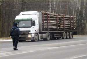 В Брянске полиция уличила водителей лесовозов в 66 нарушениях