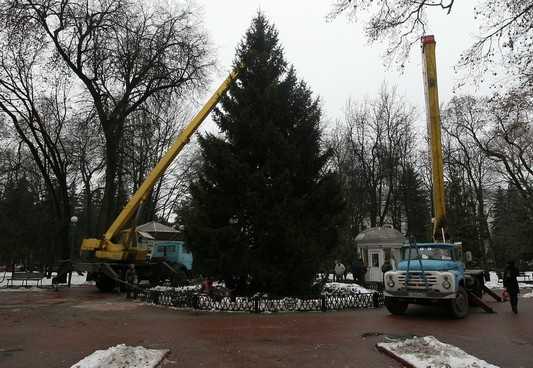 В Брянске установили 17-метровую елку