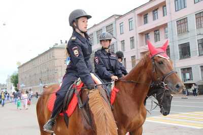 Власти предложили брянцам решить судьбу «зебры» на площади Ленина